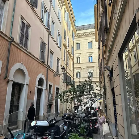 Nocitoviacondotti