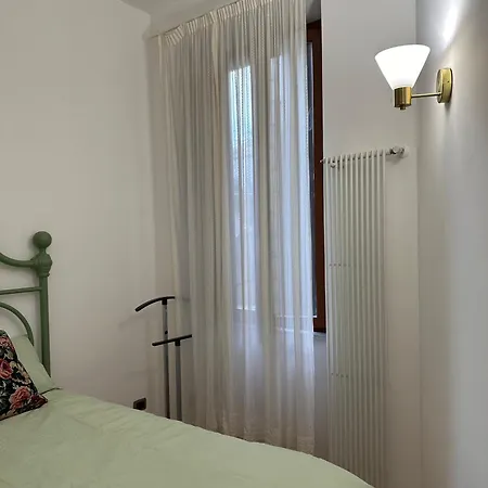 Nocitoviacondotti *